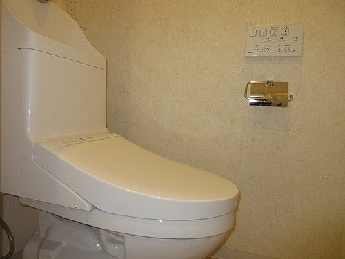 ＭＡＣ富士見丘コート トイレ　※内装前