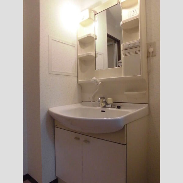 フェアール習志野102号室 洗面