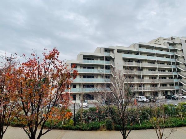 Ｂｒｉｌｌｉａ　ｉｓｔ　三軒茶屋　ブラッサムテラス3階 同建物別部屋の参考画像