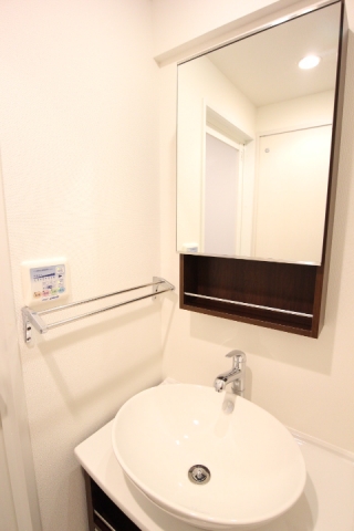 プライムアーバン千駄木204号室 洗面