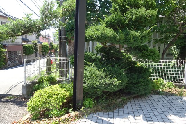 ＴＯＷＡヒルズ0302号室 植栽　※現況優先