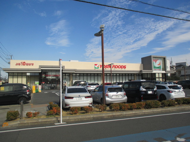 アミスタ湘南0103号室 ヨークフーズ