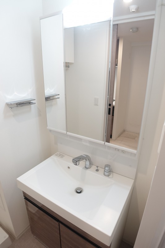 ロイジェント志村坂上4階 洗面