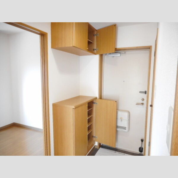 ルネスグリシーヌ カウンタータイプシューズBOX