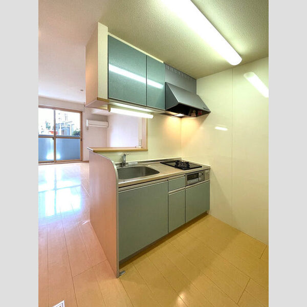 リーテリア南水元 システムキッチン