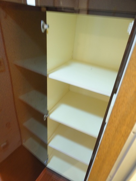 日神パレステージ西麻布1105号室 収納