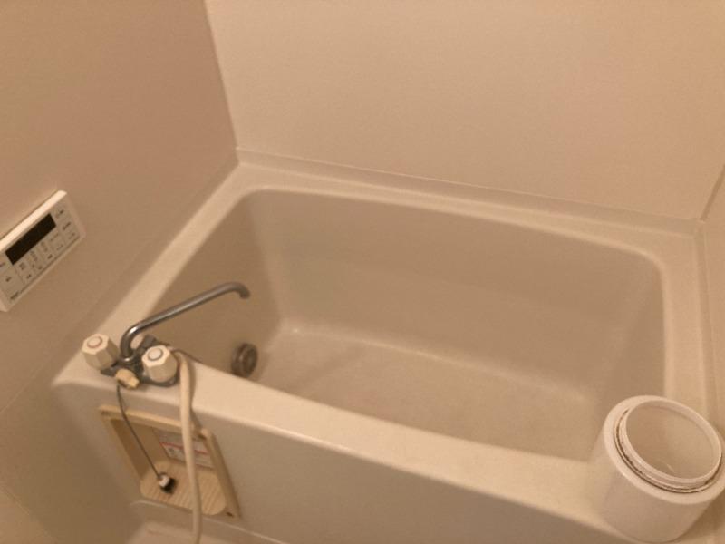 DUPLEX foliar Ⅱ お風呂