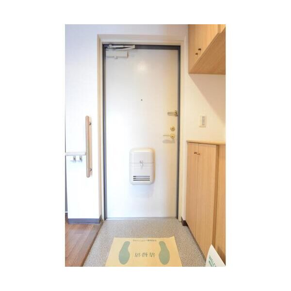パークハイムMSK502号室 玄関