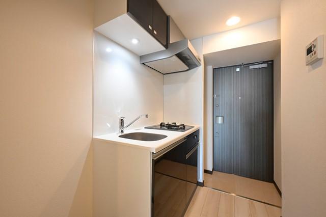 ジェノヴィア浅草Ⅴスカイガーデン4階 玄関