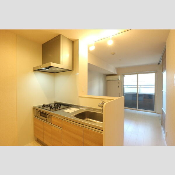 レガーメ105号室 システムキッチン