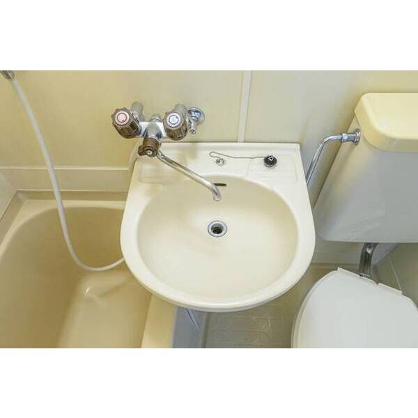 メゾン・ド・ブランシュバール0402号室 洗面