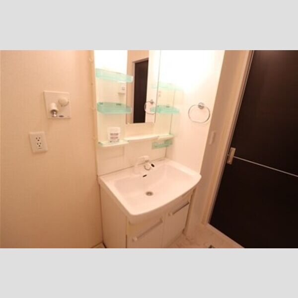 ラマージュおおたかの森201号室 洗髪洗面化粧台