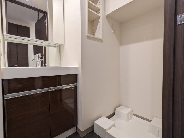 ケーディーエックスレジデンス豊洲424号室 洗面