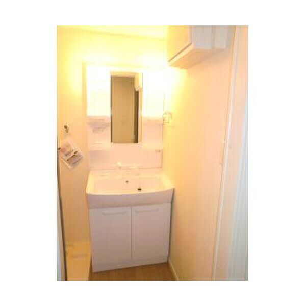 ロイヤルパーク105号室 洗面