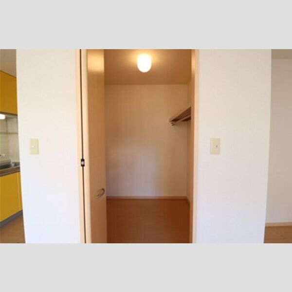 アピテ・プレミール ウォークインクローゼット