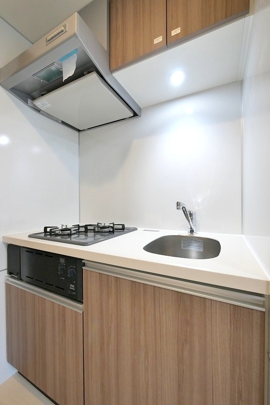 ラフィスタ新小岩Ⅲ1階 同建物別部屋の参考画像