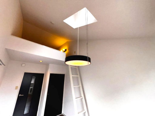 リエス稲田堤206号室 内観