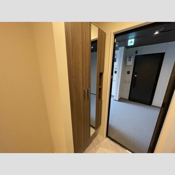 プランドール(富士見)203号室 シューズボックス