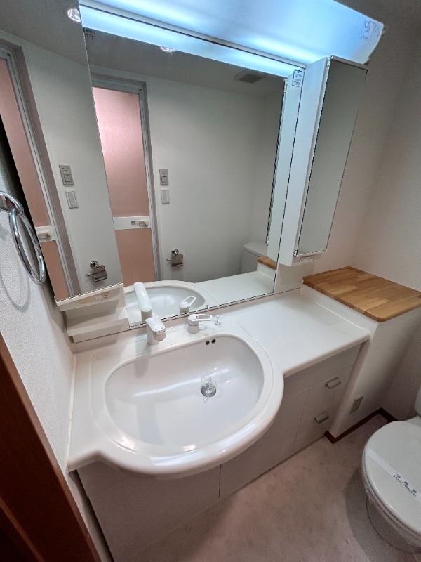 サンヴィアーレ・アーク 洗面