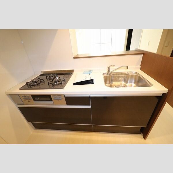 エクセレント ヒルズ103号室 システムキッチン