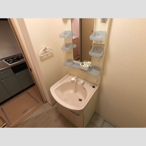 ロイヤルクレスト 五号館105号室 洗面所