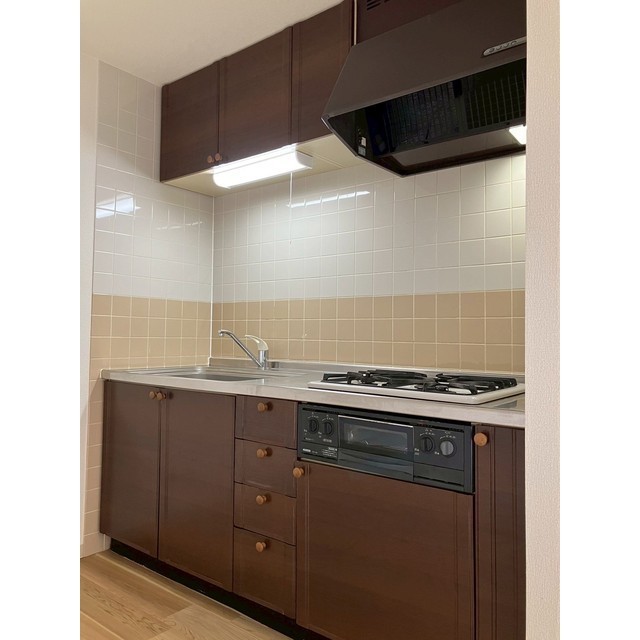 デネブ・スワン201号室 システムキッチン