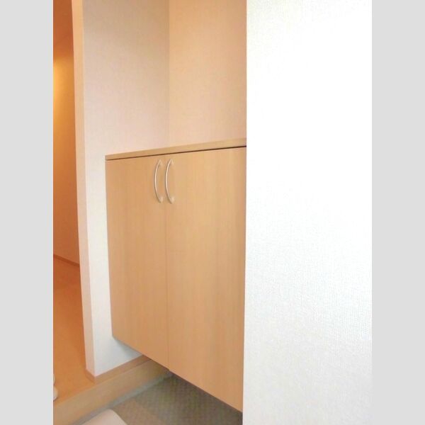 モンターニュ101号室 シューズボックス