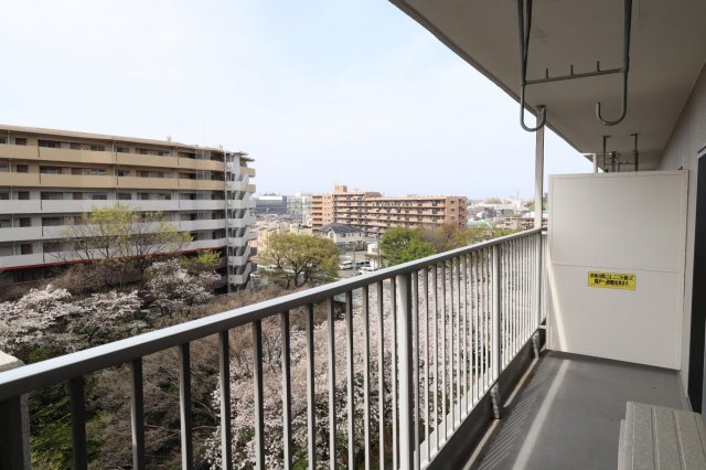 メゾン和光台9階 同建物別部屋の参考画像