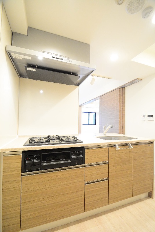 ステージグランデ台東根岸アジールコート11階 ※カラータイプ異なります。