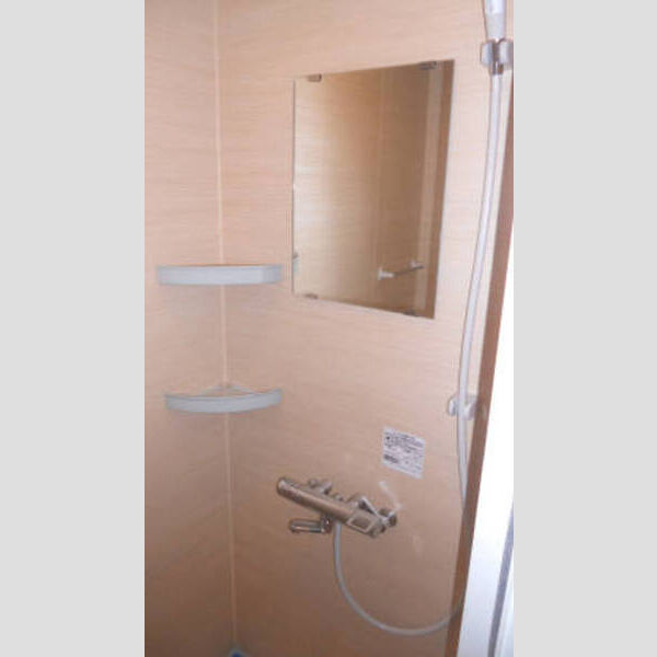 フェニックス厚木203号室 シャワー室