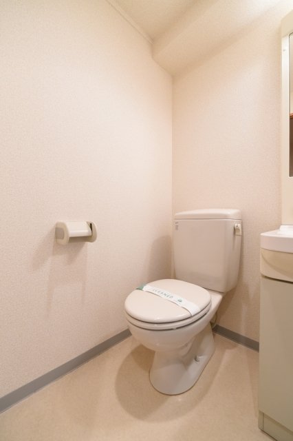 スカイコートヌーベル巣鴨 トイレ