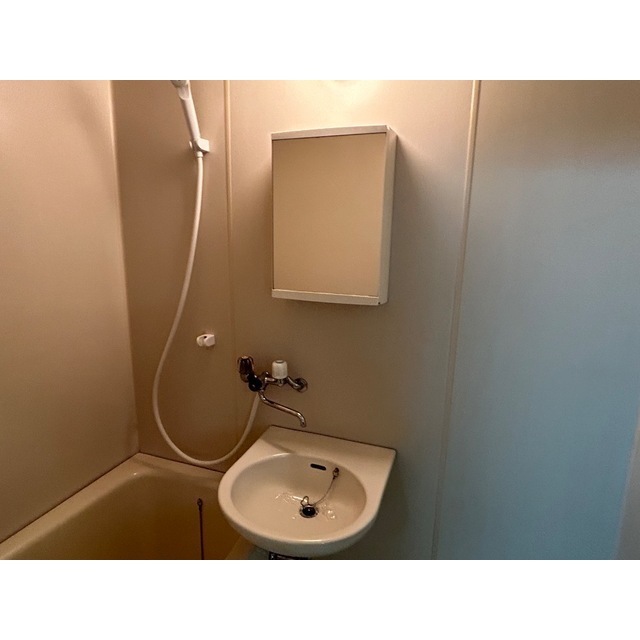 リュミエ越谷207号室 内観