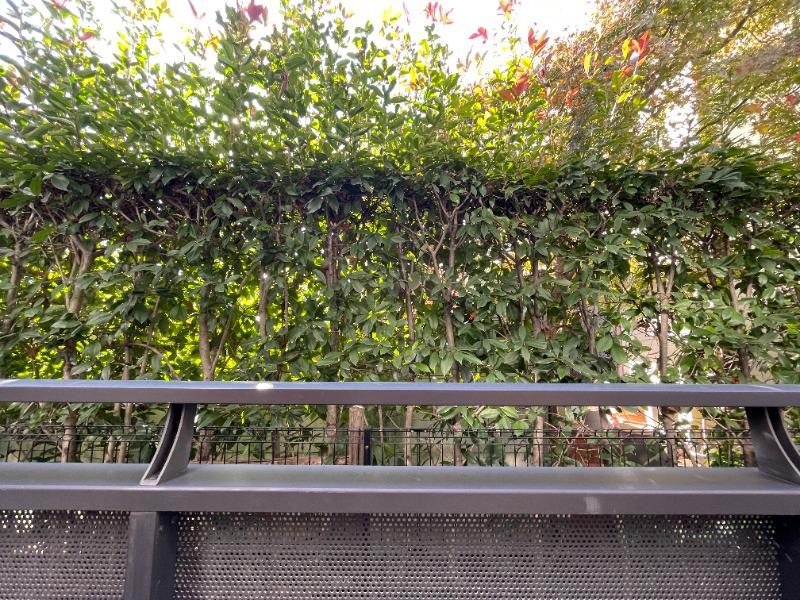 tant　mieux1階 部屋その他