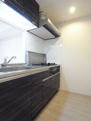 リブリ・グラン 関口 キッチン