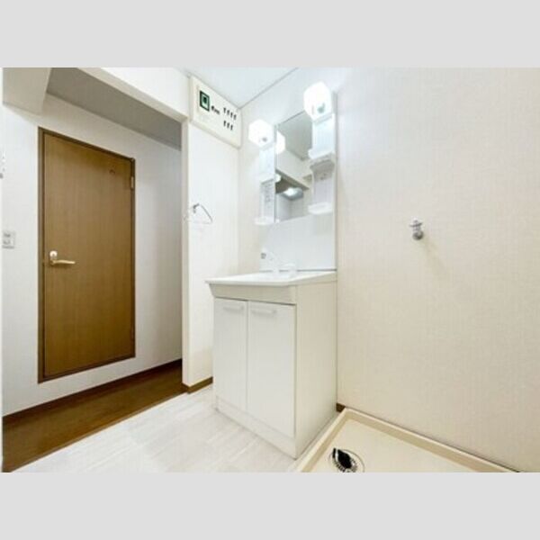 ドミール　D 洗髪洗面化粧台