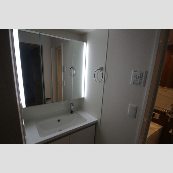 グラナーデ南花畑203号室 洗面