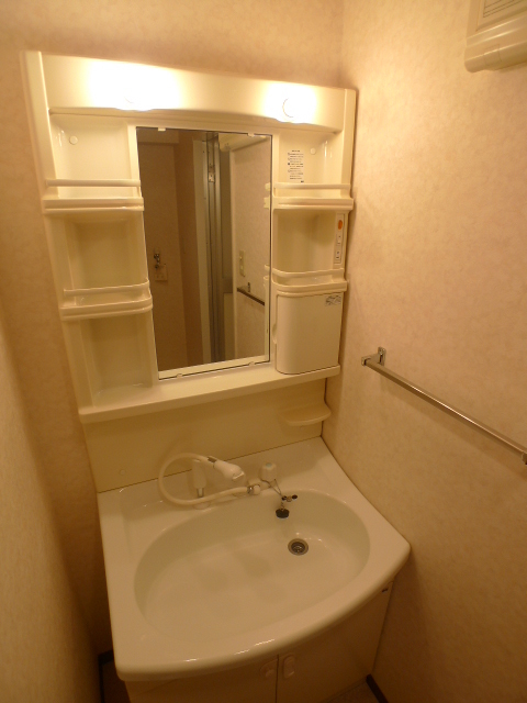 グレイスレジデンス 洗面所