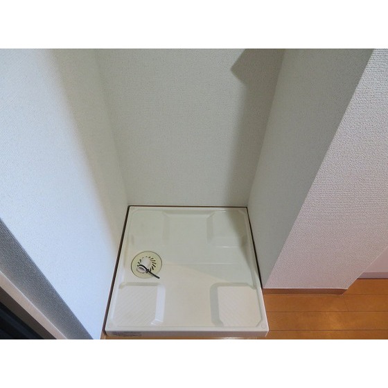 サンクレイドルレヴィール池袋0606号室 室内洗濯機置場