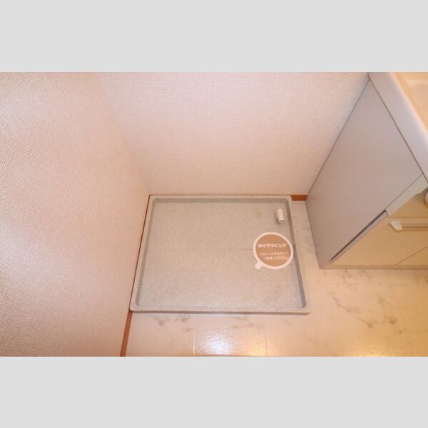 ドミール岩瀬102号室 室内洗濯機置き場