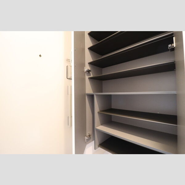 セレスティア東四つ木Ⅱ 玄関、シューズボックス