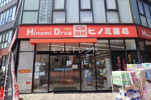 カスタリア大森Ⅱ7階 ヒノミドラッグ大森店