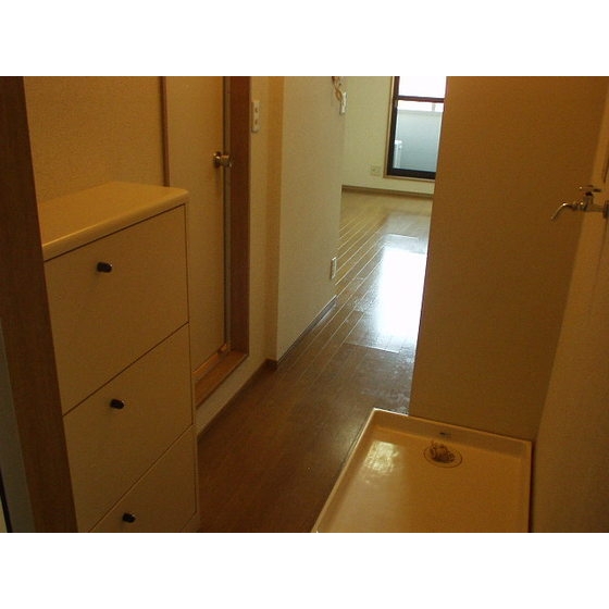 カーサグリスメイユー0203号室 玄関