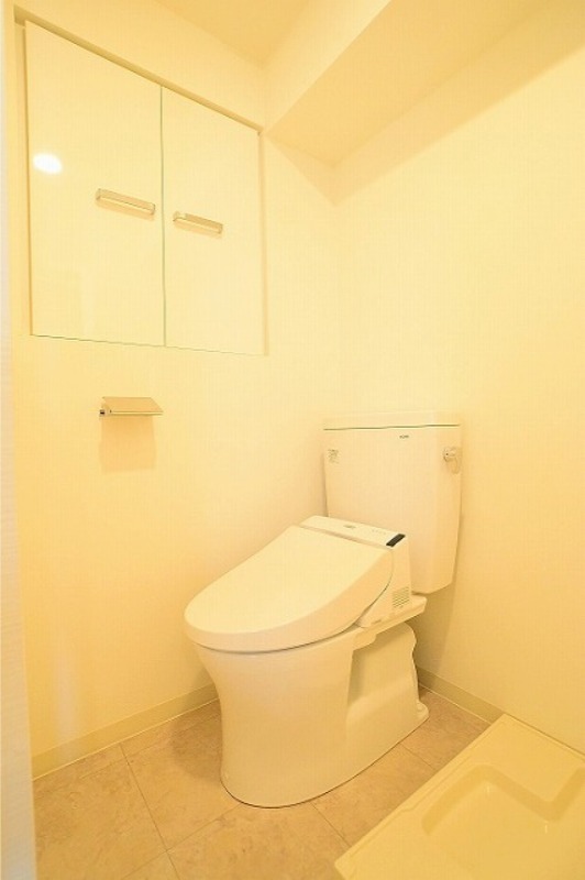 ステージグランデ菊川4階 トイレ