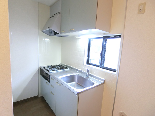 エコ・レジデンス0201号室 キッチン