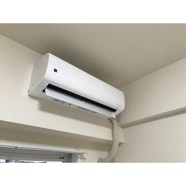 ドリームスペースマンションC-10号室 部屋その他