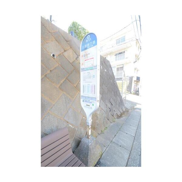 サザンヒルズ生田203号室 周辺