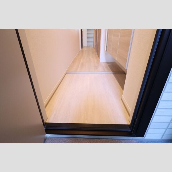 アヴァンス八潮A203号室 玄関