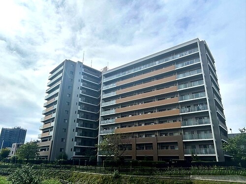 ルイシャトレ川口レックスフォート7階 建物外観　別角度