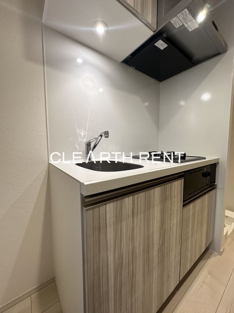 ＴＨＥ ＰＡＳＥＯ新小岩Ⅱ5階 同タイプ別住戸写真となります。現況と異なる場合がございます。