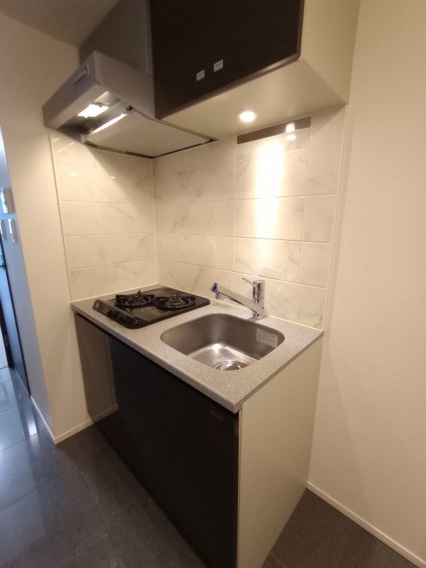 コンシェリア新橋 ＭＡＳＴＥＲ’Ｓ ＶＩＬＬＡ9階 キッチン